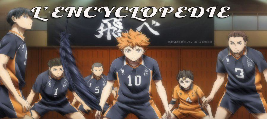 Jeux de haikyu