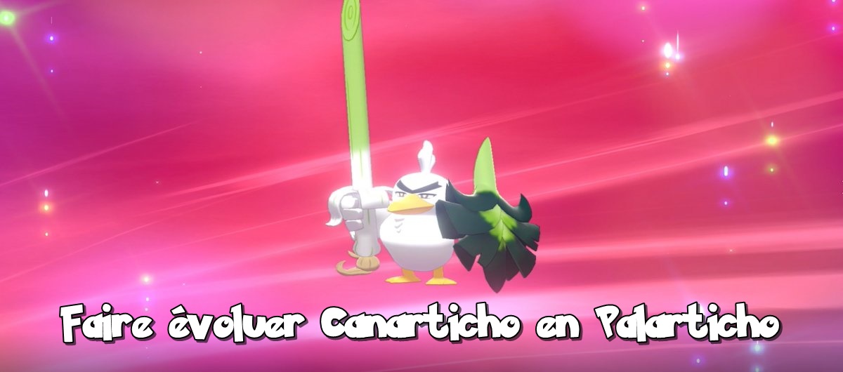 Comment capturer canarticho et comment le faire évoluer en palarticho