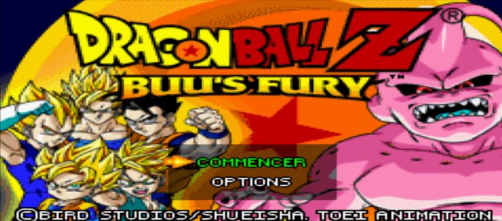 Dragon Ball Z Buu's Fury FR