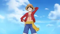 ROMs One Piece