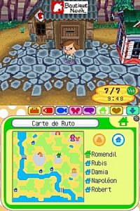 Animal Crossing Wild World (ds)