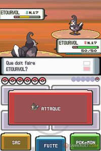 Pokemon Perle (ds)