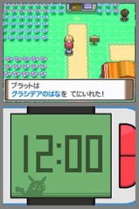 Pokémon Ranger : Path of Light (DS)