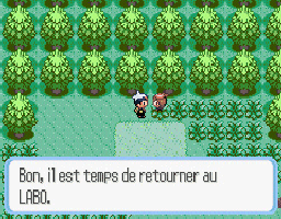 Pokemon Rubis (gba)