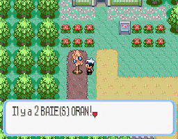 Pokemon Rubis (gba)