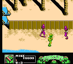 Tortue Ninja 3 (nes)