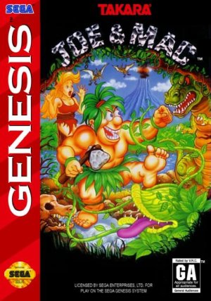 ROM FR Joe & Mac download