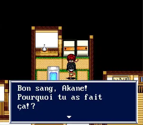 Ranma 1/2 : Akanekodan Teki Hihou ROM FR