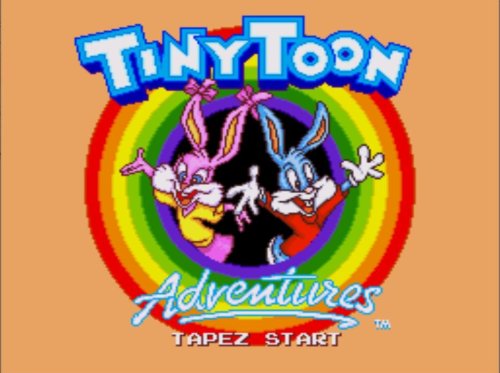 Tiny Toon Adventures ROM FR