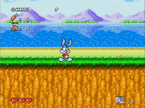Tiny Toon Adventures ROM FR